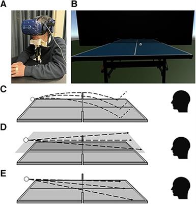 Table tennis players use superior saccadic eye movements to track moving visual targets